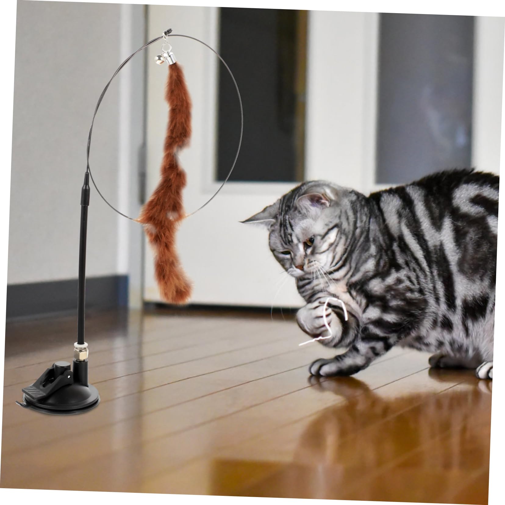 VANZACK 24stücke Teiliges Interaktive Katzenangel Mit Saugnapf Federteaser Und Glöckchen Spielzeug Aktivität Und Für Katzen