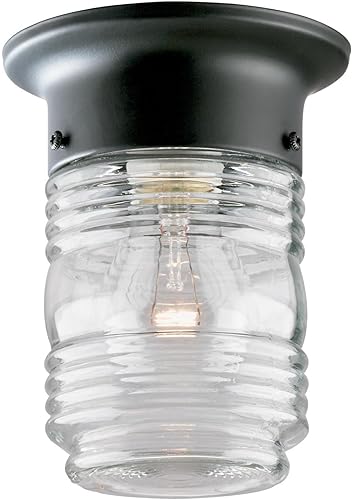 Westinghouse Lighting 6691900 - Tarro de gelatina de una sola luz, color negro mate