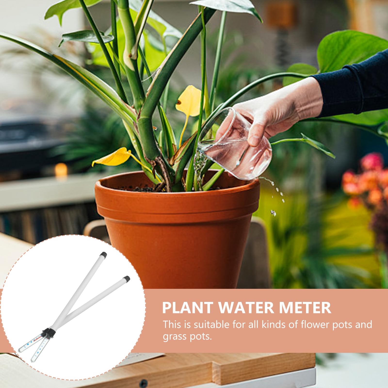 POPETPOP 2 Pièces Indicateur De Niveau d'eau Humidimètre du Sol Plantes D'intérieur Pot De Fleur Rappel De Pénurie d'eau Jauge d'eau pour Plantes en Pot pour Jardin