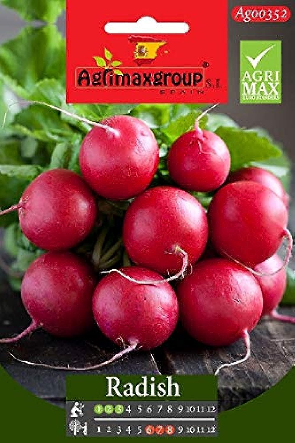 Red Radish Premium Quality Seeds (Made in Spain) by Agrimaxgroup®