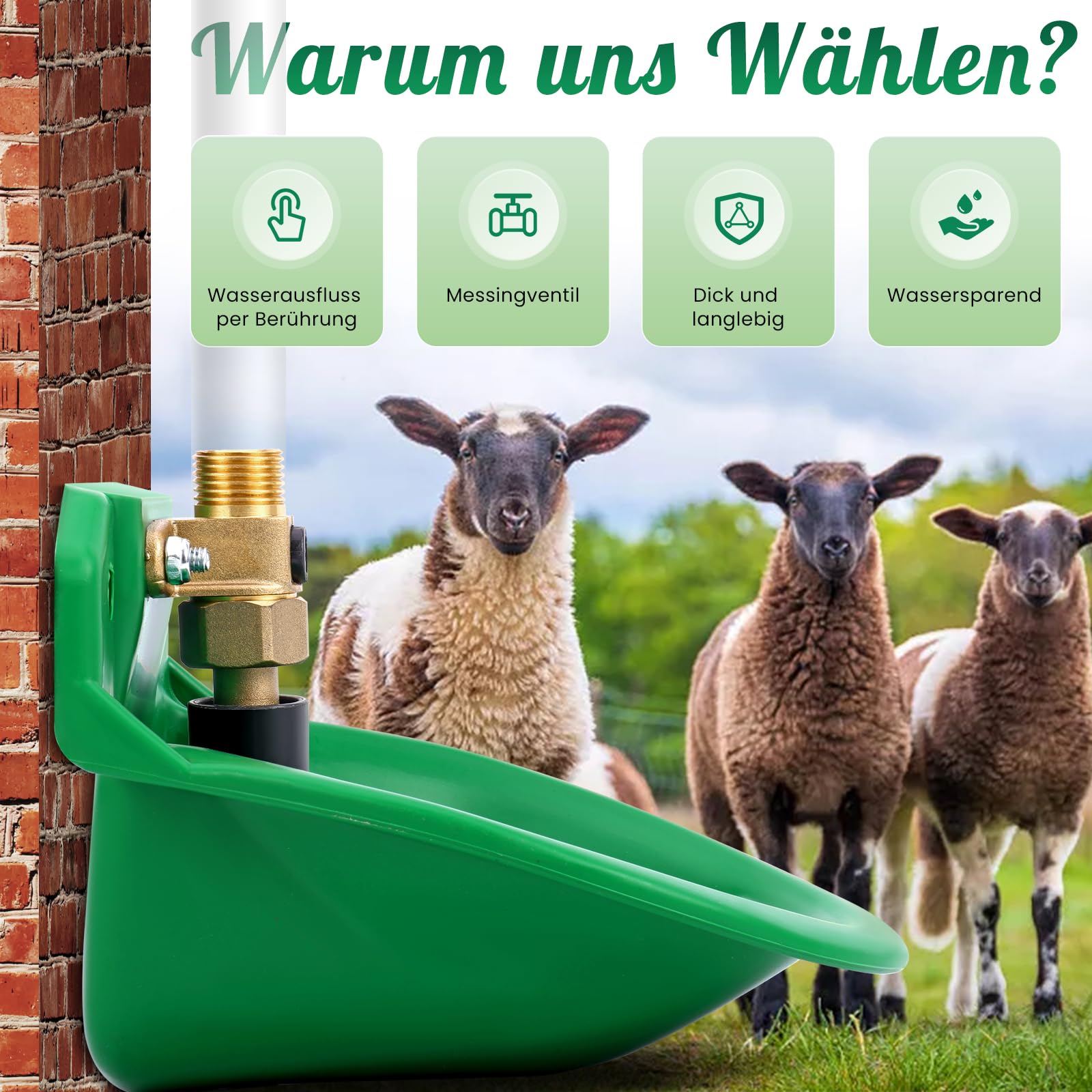 Automatische Tränkebecken für Schafe, ViehträNken mit Abflusslöchern, Automatische Wasserversorgung für Pferde, Rinder, Schafe, Schweine und Hunde, WeideträNken, Grün