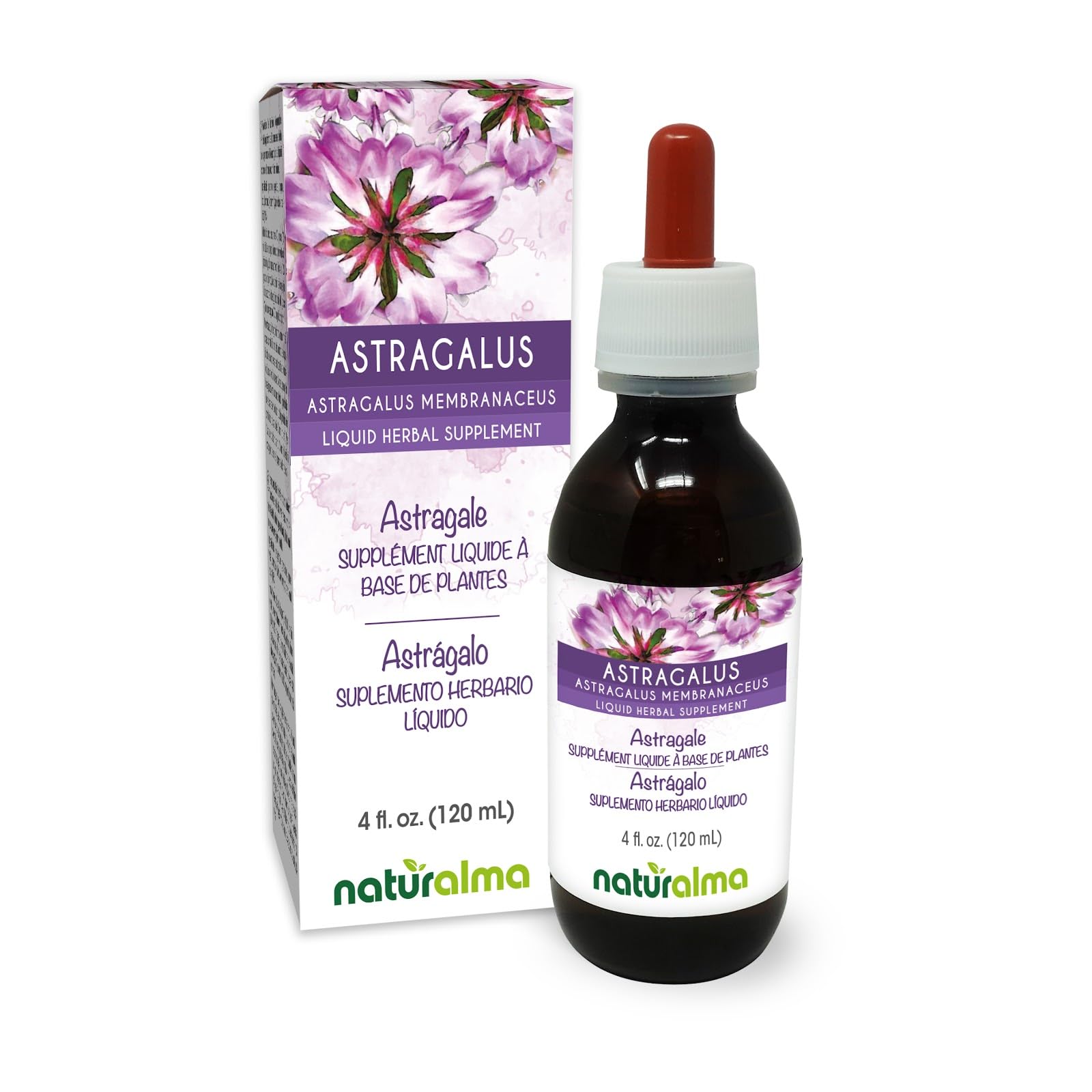 Naturalma Astragalus (Astragalus membranaceus) Root Alcohol-Free Tincture - 4 fl oz Liquid Extract in Drops - Herbal Supplement - Vegan 4 Fl Oz (Pack of 1)