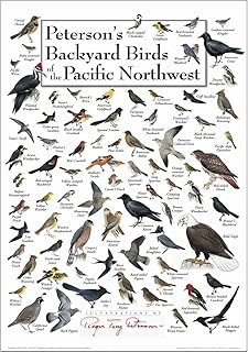 Earth Sky + Water - Peterson’s Backyard Birds of The Pacific Northwest
