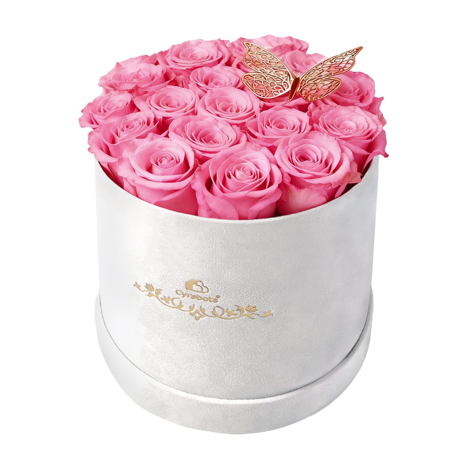 Cyrabota 16 Preserved Roses