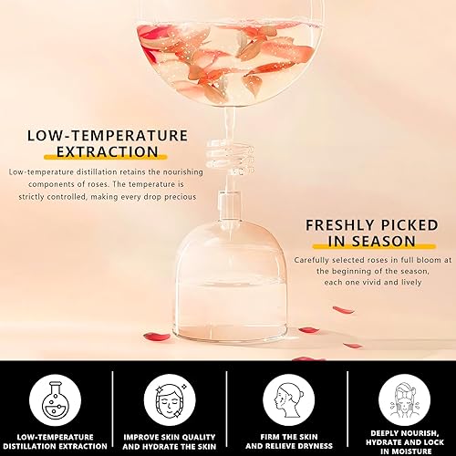 Miniatura 7 de Agua de rosas pura, natural y fragante, perfecta para el cuidado de la piel, la cara, el cabello y la aromaterapia, 100% pura y sin diluir, calidad