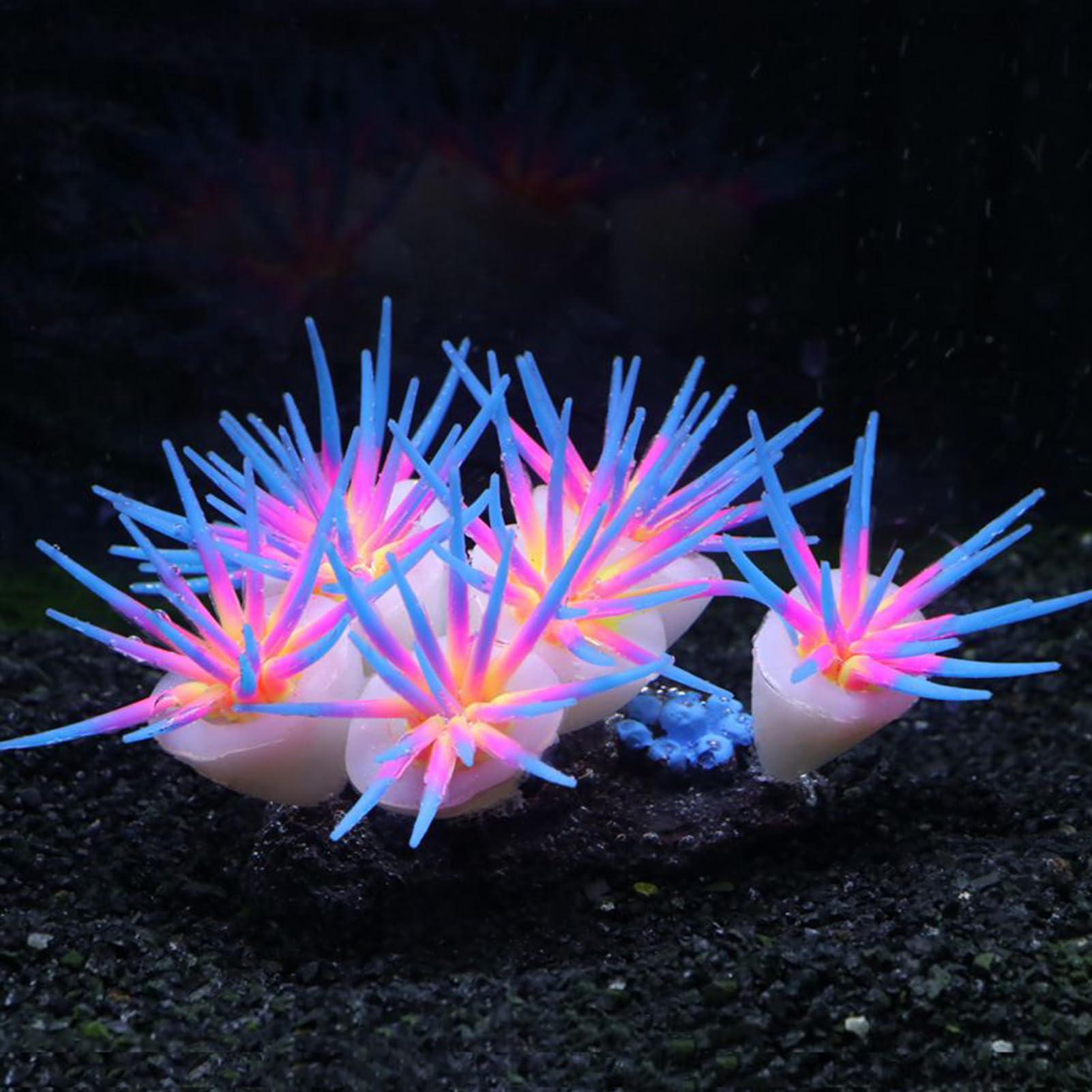 Générique Fish Tank Glowing Coral Ornaments, Silicone Soft Coral Decorations, 3.94x2.36in Artificial Luminous Aquarium Plants, Tank Decor, Suitable for Freshwater