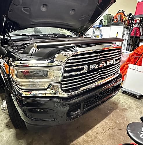 Review Image by Cynthia Ellis