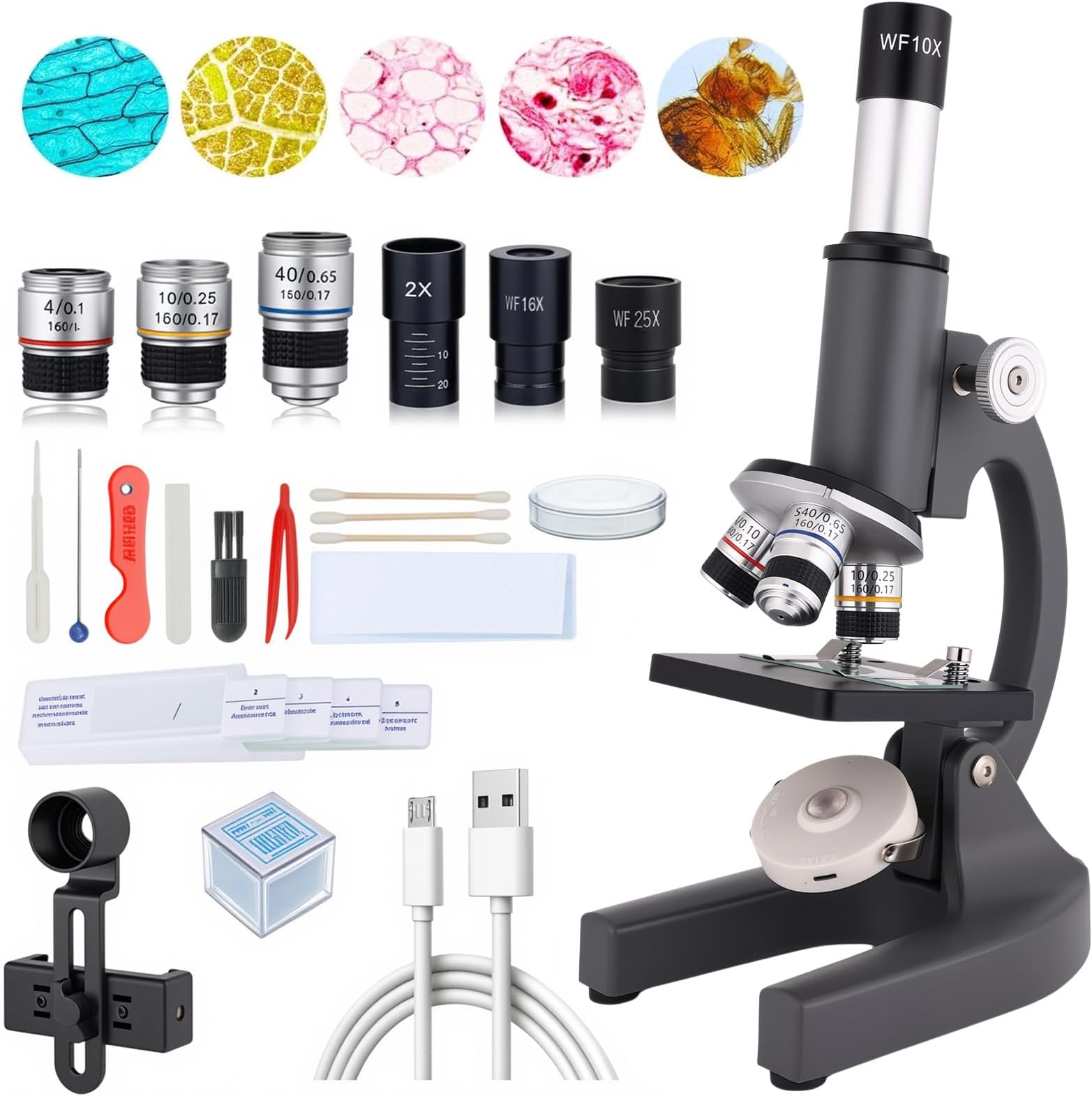 Gray 40-2000X Magnification Compound Microscope for Adults Kids with Slides, Fill Light - Suitable for Children, Students, Home, School, Laboratory Kit