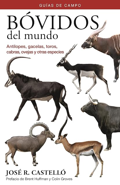 Portada de Bovidos del Mundo - Guias de Campo: Antilopes Gacelas Toros Cabras Ov