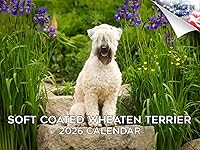 Vista 52 de Razas de Perros 2017