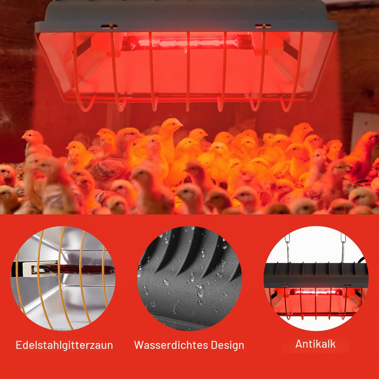 Rotlichtlampe Wärmelampe für Küken, 175 W Wärmelampe für Hühner, Heizlampe Hühnerstall, Heizplatte Lampenwärmer, Automatische Thermostatisch Infrarotlampe für Hühner, Enten, Welpen, Vieh, Ferkel