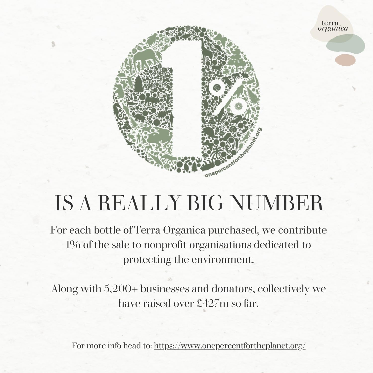 Saint Peyre Picpoul De Pinet (6 X 750ml) French White Wine - Fine Wine Sellers - Www