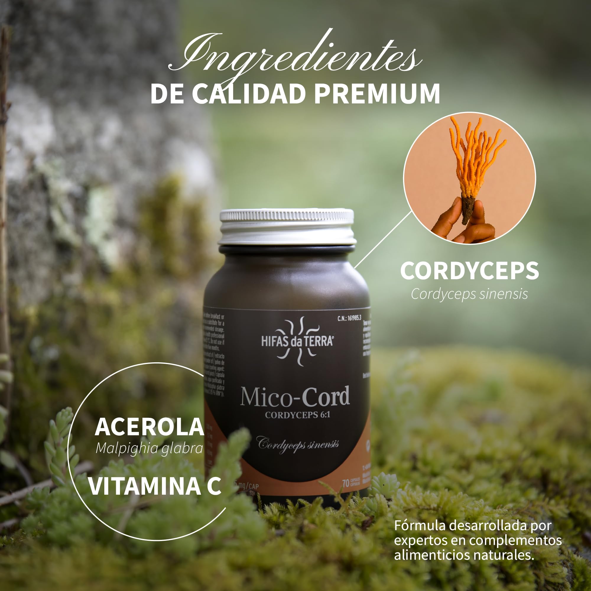 HIFAS DA TERRA - Mico-Cord Extracto Puro de Cordyceps + Vitamina C Natural - Extracto de Hongos - Energía, Vitalidad, Rendimiento Físico y Recuperación Natural - Bote 70 Cápsulas