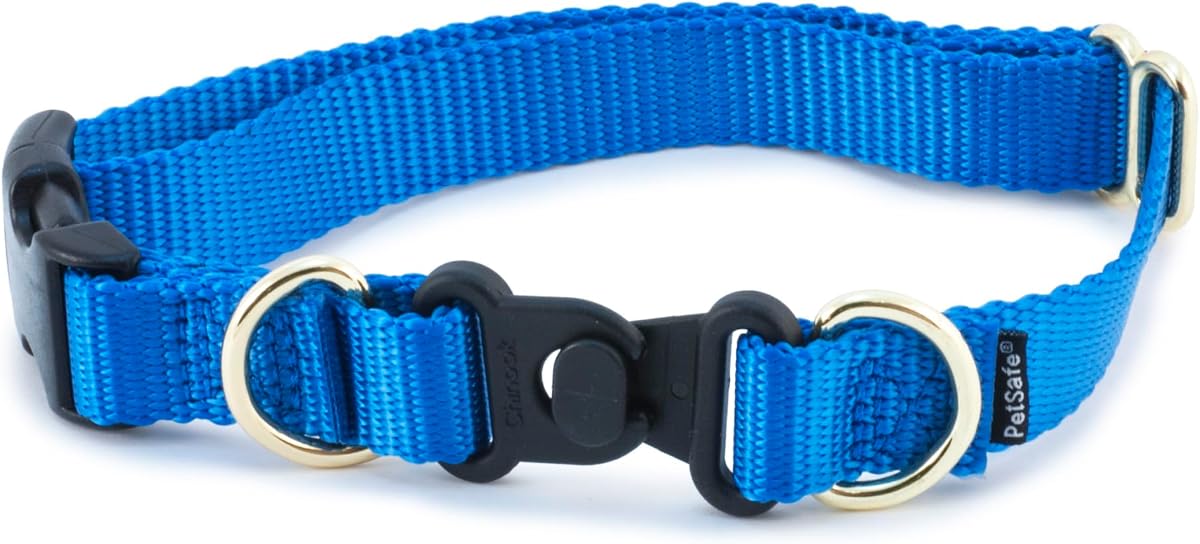 PetSafe KeepSafe Break-Away Dog Collar, Royal Blue, 3/4 in Wide, Medium | Break-Away Buckle Releases Under Pressure for 24/7 Protection, Adjustable Fit, Durable Nylon, Fits Necks 14 - 20 in