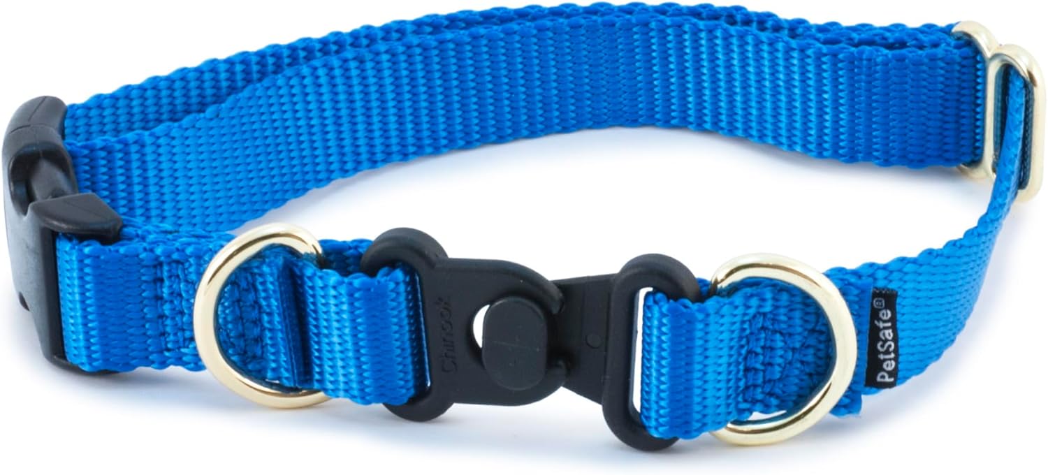 Petsafe KeepSafe BreakAway Collar, Prevent Collar Accidents for Your