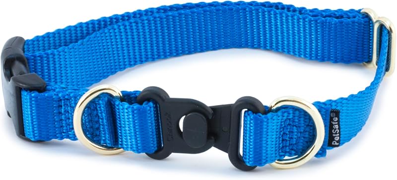 PetSafe KeepSafe Break-Away Dog Collar, Royal Blue, 3/4 in Wide, Medium | Break-Away Buckle Releases Under Pressure for 24/7 Protection, Adjustable Fit, Durable Nylon, Fits Necks 14 - 20 in