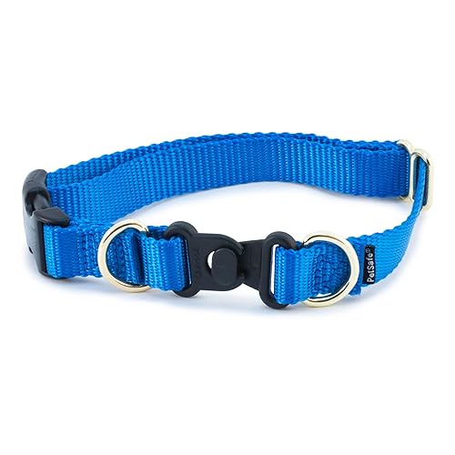 PetSafe KeepSafe Collar for Dogs - Protects Against Collar Accidents