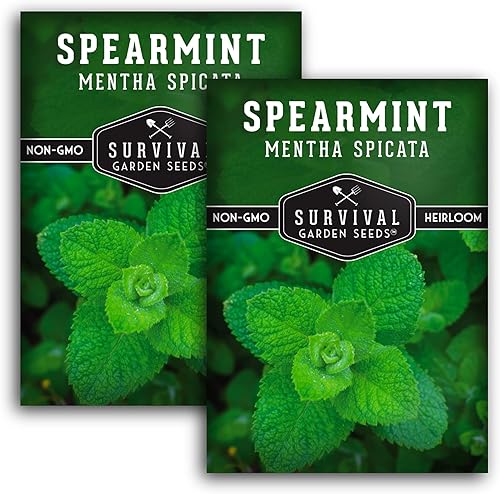 Vista 11 de Survival Garden Seeds - 3 paquetes de semillas de menta verde para plantar - Mentha Spicata con instrucciones para plantar deliciosas hierbas