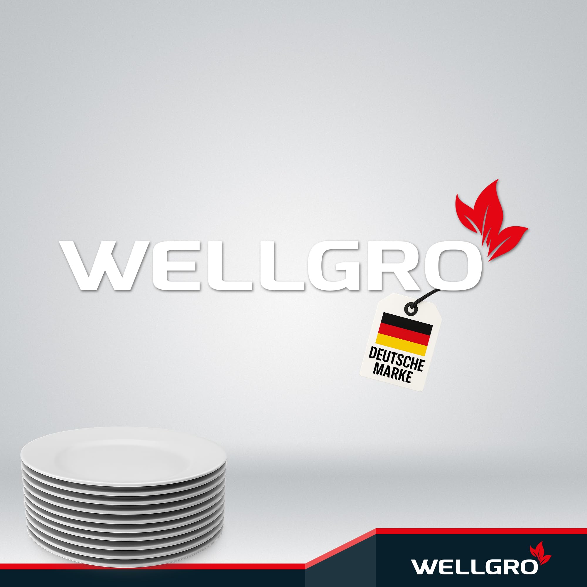 WELLGRO 2 x Inserto per armadio a 2 livelli, bianco, 25 x 25 x 20 cm, in metallo con rivestimento in plastica