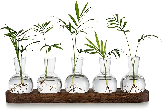 Glasseam Plant Terrarium Propagation Station, Glass Planter Bulb Vase With Wooden Tray, Modern Bud Vases for Living Room Office Decor, Desktop Flower Vase Hydroponics Glass Vase for Plants Cutting
