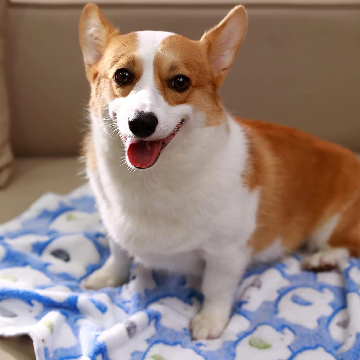 review Thickened Velvet Pet Blanket Coral Fleece Winter Super Soft Elephant Pattern Cartoon Style Washable Dog Puppy Cat Throw Cage Blue XS