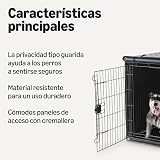 Ver la foto 2