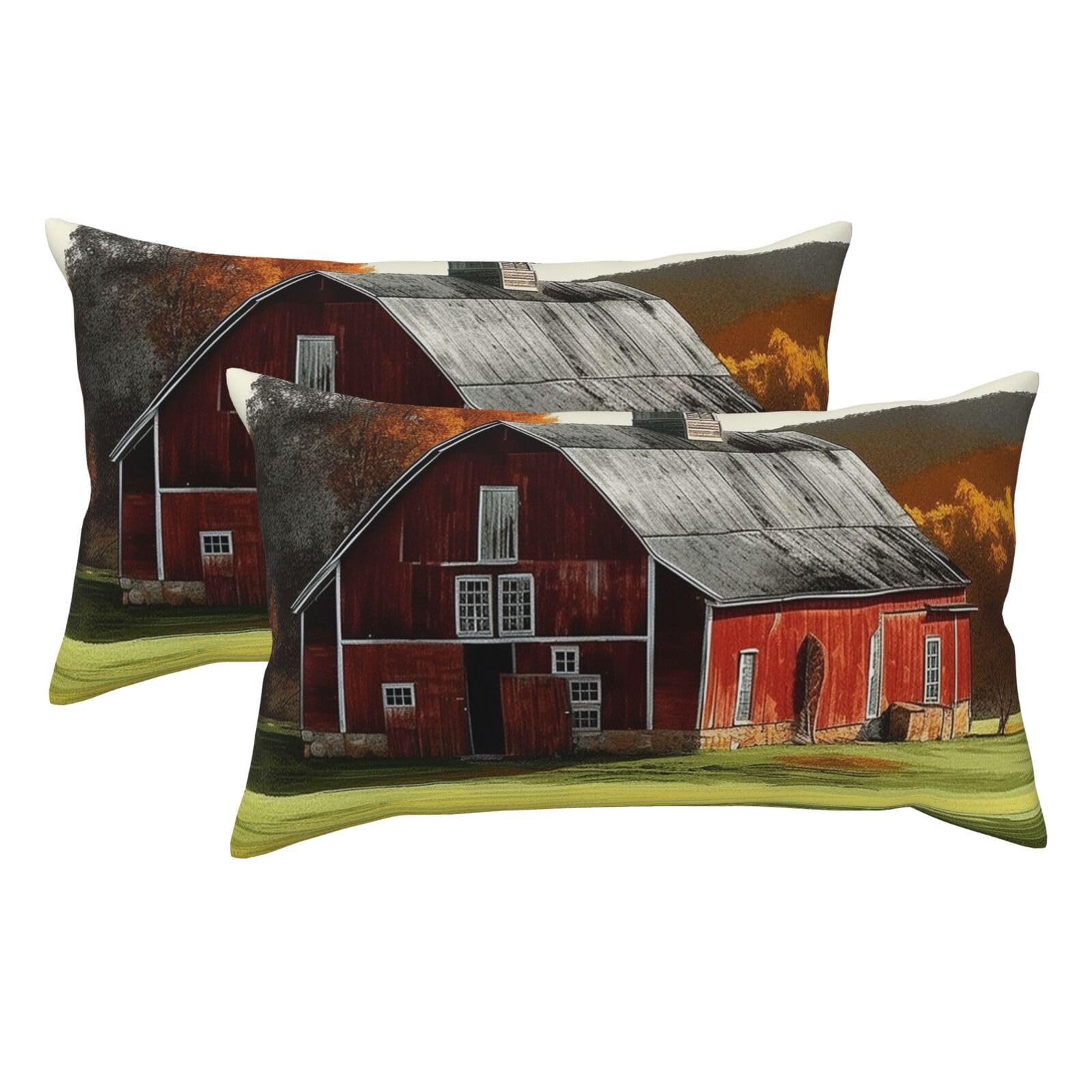 2 Pack King Pillow Cases with Hidden Zipper, Soft Breathable Pillow Covers for Hair and Skin, Barn Pillowcases 20"x36" Bed Pillow Protectors Cover for Sleeping Gifts