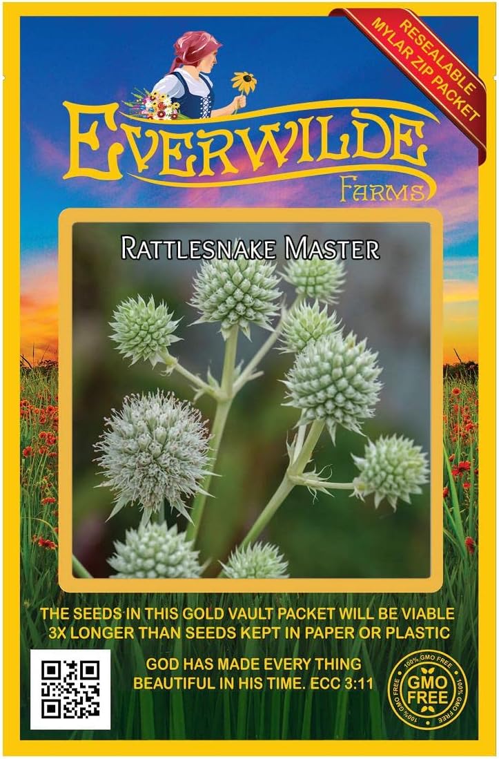 Everwilde Farms - 1/4 Lb Rattlesnake Master Native Wildflower Seeds - Gold Vault