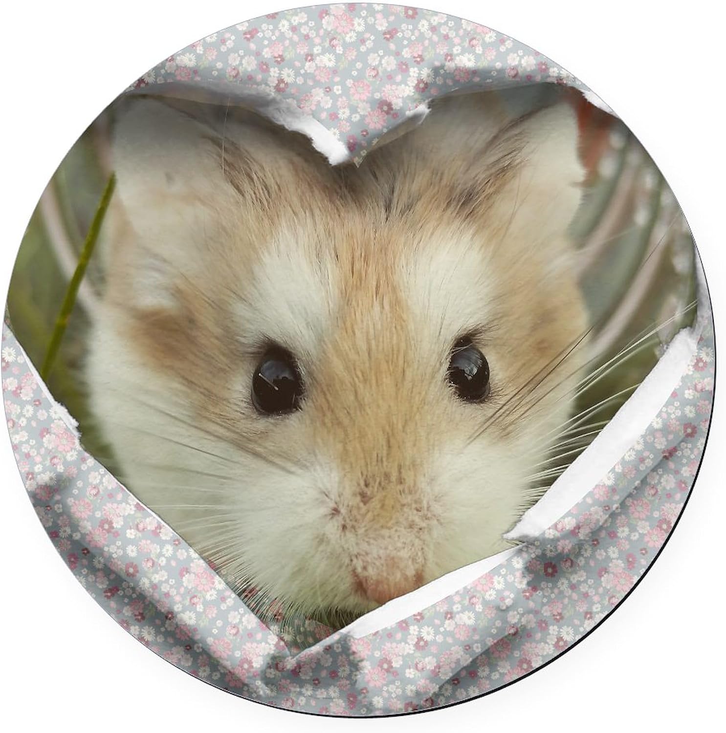 CafePress Peep Hole Hamster 5.5" Round Car Magnet Magnetic Bumper Display