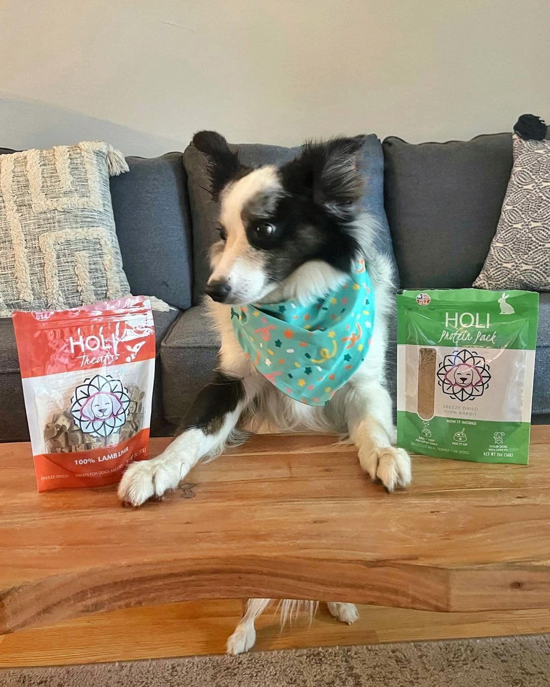 HOLI Rabbit Dog Food Topper – Freeze Dried Rabbit Dog Topper for Dry Food – Single Ingredient, Human-Grade Meal Topper for Picky Dogs – Grain Free & All Natural - 8oz