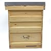 National Pine Beehive Starter Kit – Complete Hive with Brood & Super Frames and Wax Foundation | Flat Pack Beekeeping Kit