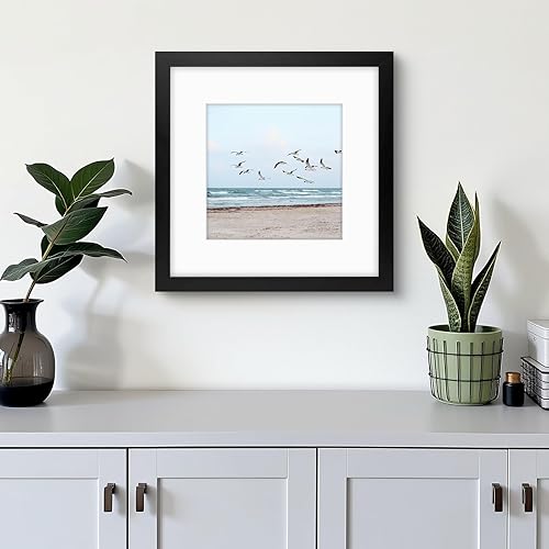 Vista 54 de Frametory, Los marcos de 16 x 20 pulgadas muestran imágenes de 11 x 14 pulgadas con paspartú o fotos de 16 x 20 pulgadas sin paspartú, vidrio Plata