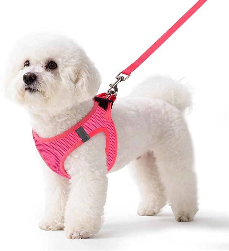 Peitoral para Gatos e Cães Pequenos com Tela Respirável e Ajuste No Pull laqibak Q246, S