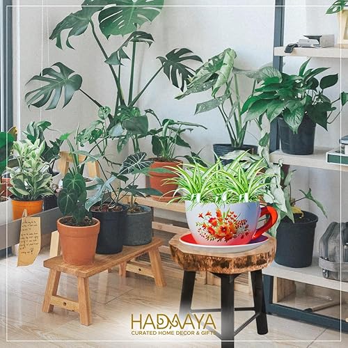 Vista 8 de hadaaya 7.5" Round Ceramic Teacup Shape Planter Pot with Saucer for Succulents Orchids Herbs Cactus Indoor Houseplants Flowers for Home Garden and