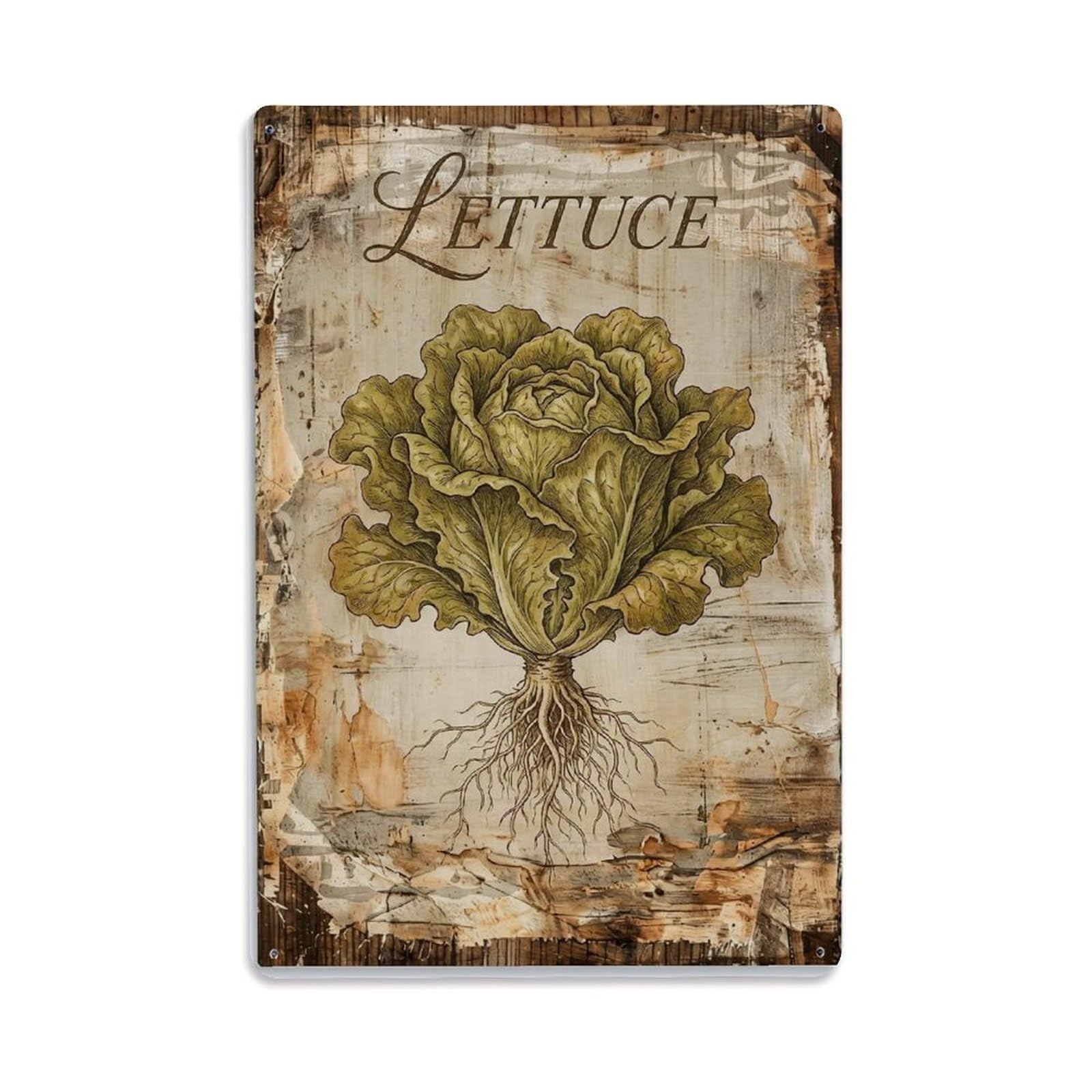 Lettuce Leafy Vegetable 1 Vintage Metal Tin Sign Plaque Wall Decor for Cafe, Club, Garden Metal Poster 8x12Inch