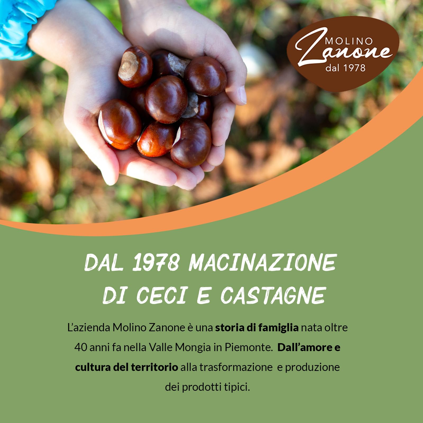 Maxi Box Zanut Contenente 20 Pezzi Da 100 g Castagne Morbide Cotte A Vapore Snack Naturali Pronti Da Gustare Senza Glutine E Senza Conservanti Basso Contenuto di Grassi e fonte Di Fibre
