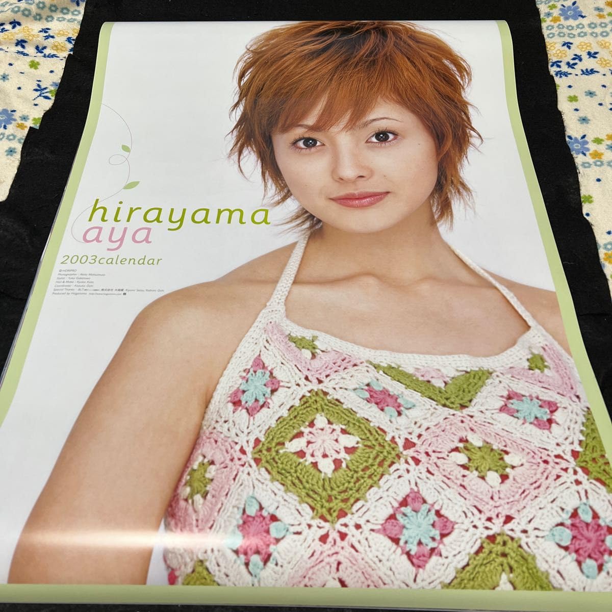 犬夜叉 非売品カレンダーと 週刊少年サンデー 2001年13号 グラビア 平山綾 Yahoo!オークション - 平山綾 グラビア掲載号 週刊少年サンデー199