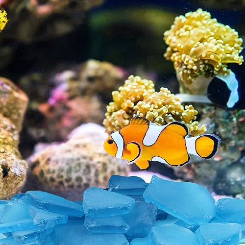 Miniatura 4 de Giftvest Vidrio de mar para manualidades, piezas de vidrio marino esmerilado de 16 onzas, relleno de jarrón, suministros de manualidades para