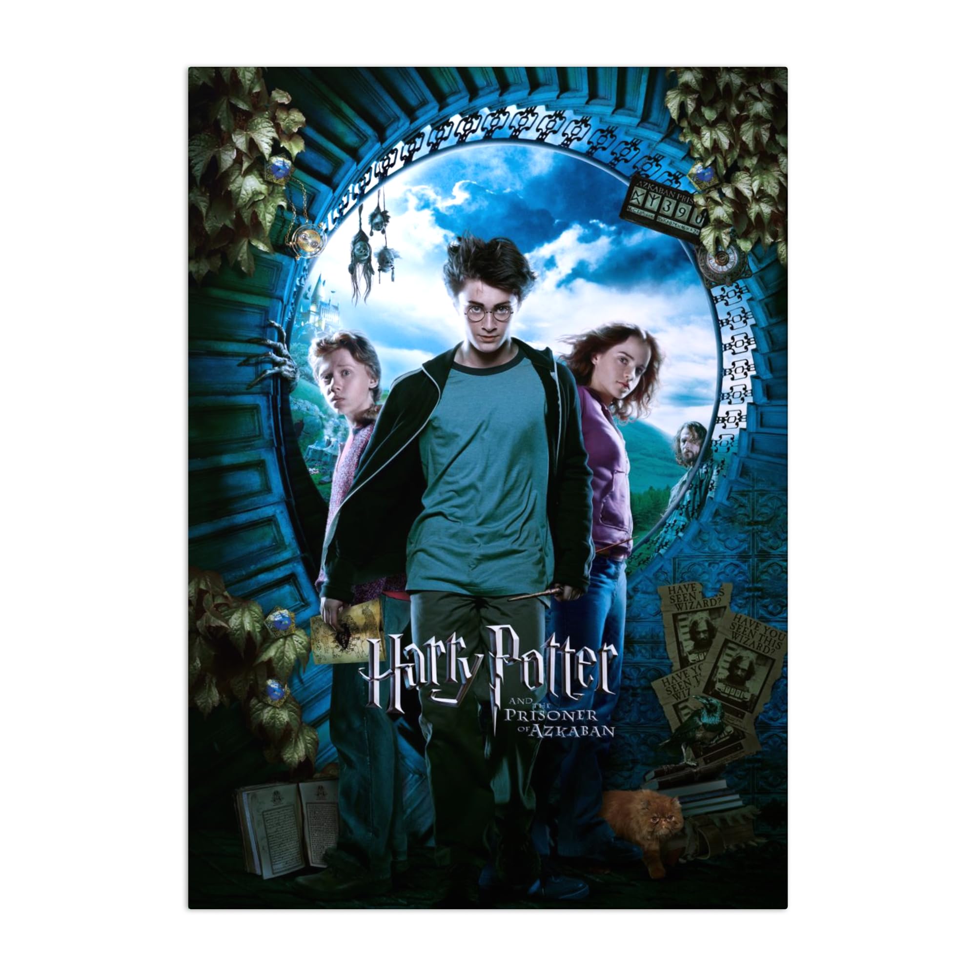 Displate Offiziell Harry Potter MetallPoster Magnetische Befestigung Inklusive Lizenziert Bilder Hochwertiges Poster Prisoner of Azkaban s - Harry Potter 3 45 cm x 32 cm