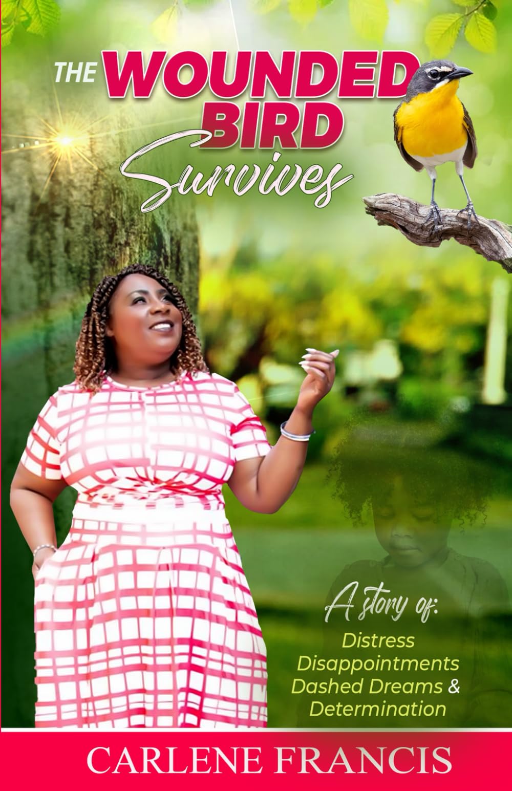 The Wounded Bird Survives: A Story of Distress, Disappointments, Dashed Dreams and Determination
