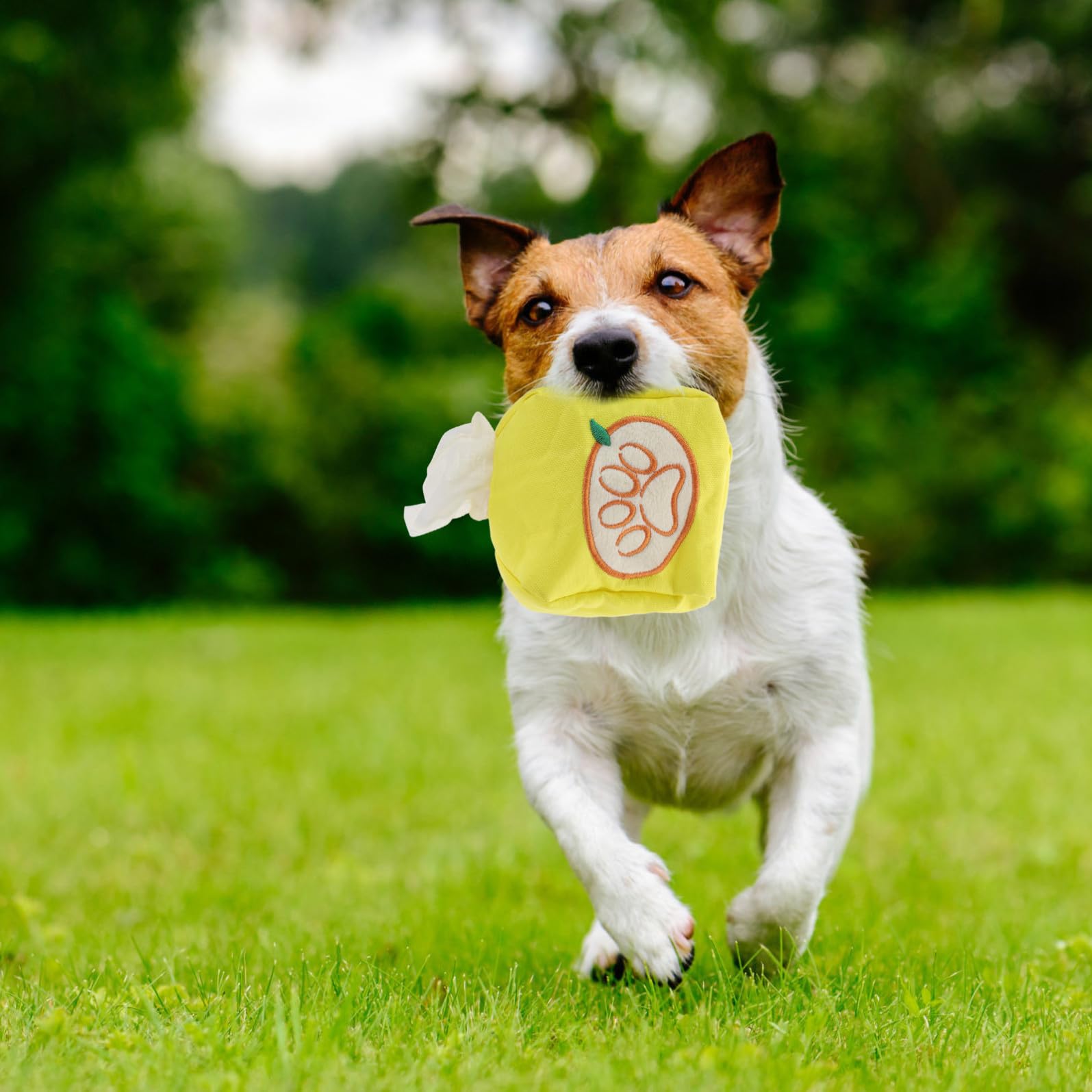 POPETPOP 3stücke Pet Snuffle Toy Für Hunde Lustiges Foraging Spielzeug Geruchstraining Für Und Kleine Hunde Um Abzubauen Und Instinkte Zu