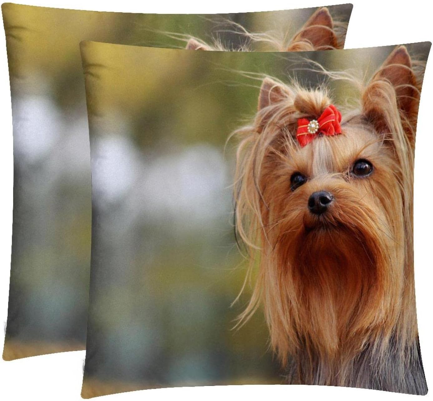 Set of 2 Throw Pillow Covers 18x18 Inch Square Decorative