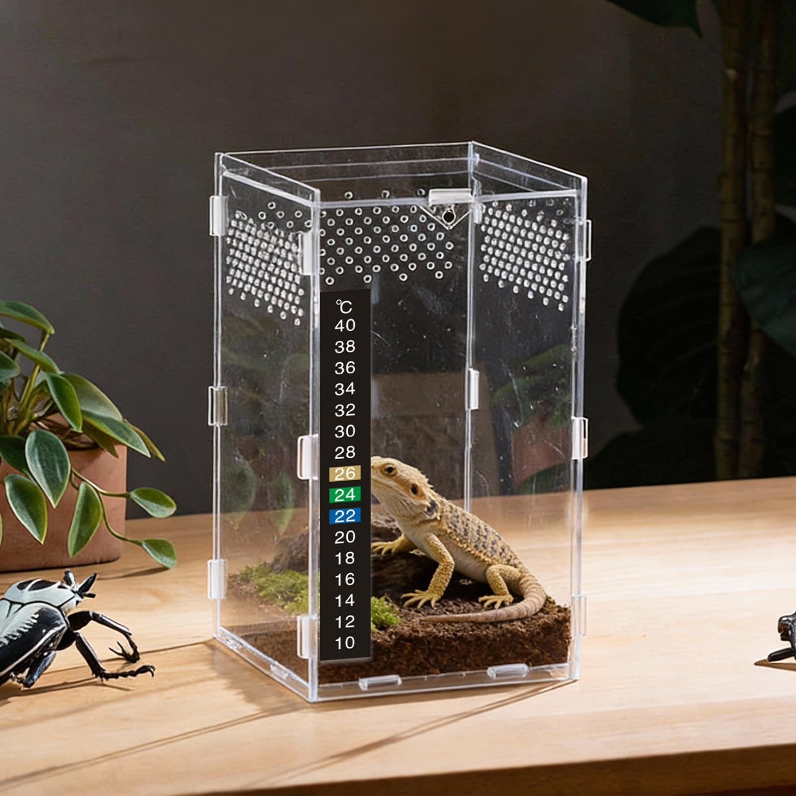 Akrylowe terrarium dla gadów, 20 x 12 x 12 cm, akrylowe terrarium z termometrem i pęsetą, oddychająca obudowa do hodowli gadów, plastikowa obudowa na skorpiony, krocionogi