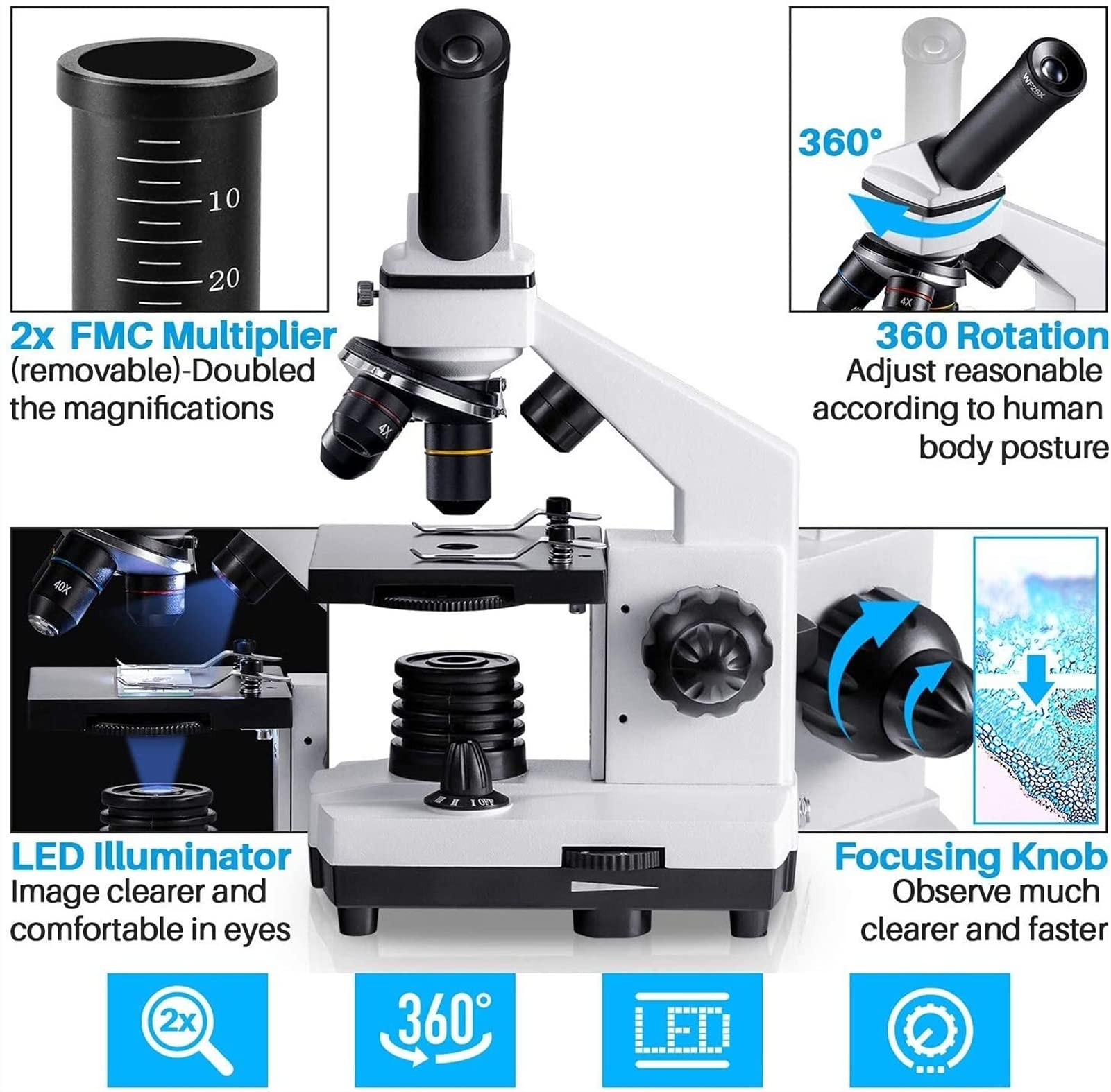 Microscopio 100-2000x biologico educativo microscopi for adulti bambini Lab Compound monoculare Microscopio con Vetrini Preparati Kit Software di misurazione professionale