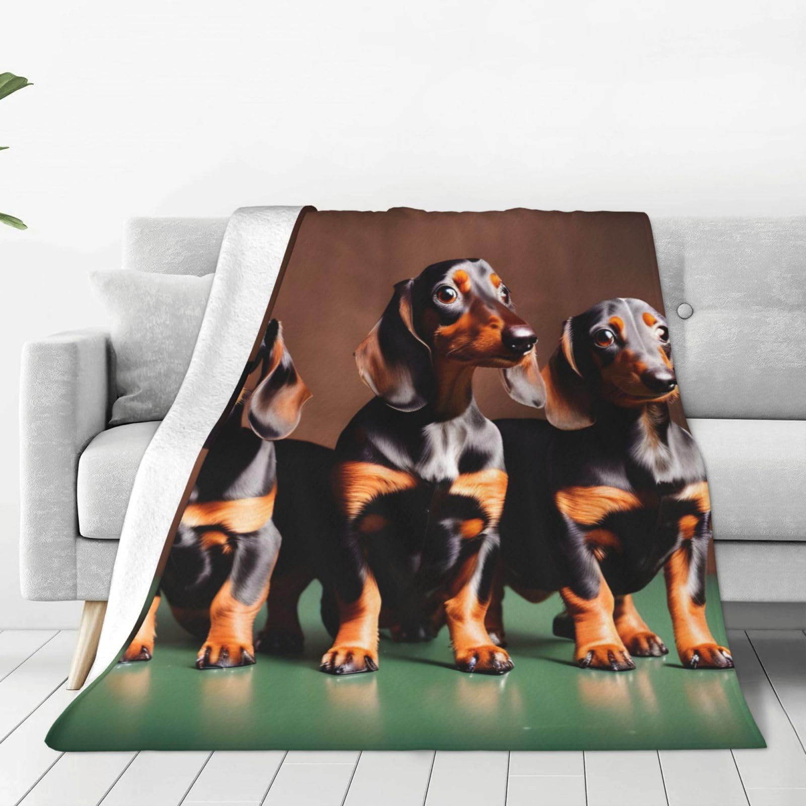 Couverture polaire de lit chaude teckel plaid weiner aux finitions premium