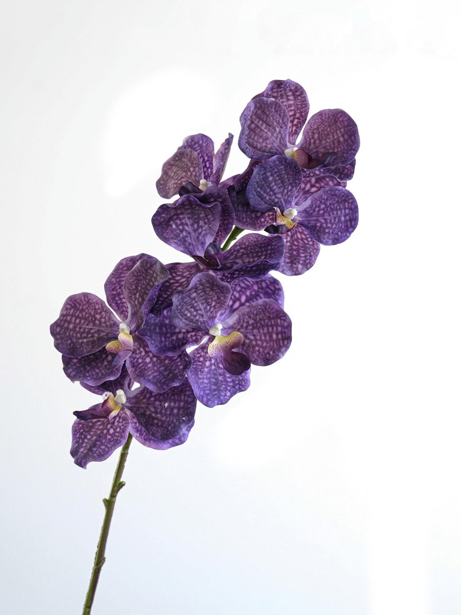 TVIVID Artificial Vanda Orchid Flowers Real Touch Fake Orchid Folral Arrangement Realistic Decorative Vanda Flower
