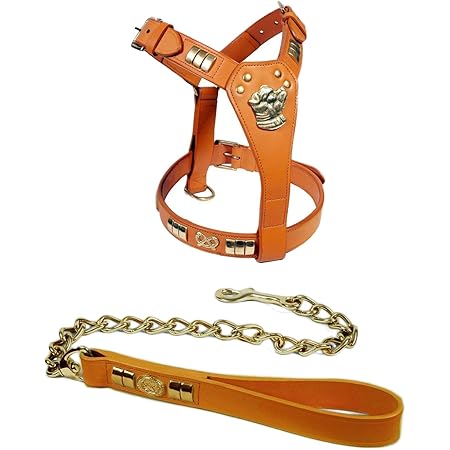 staffy harness and lead