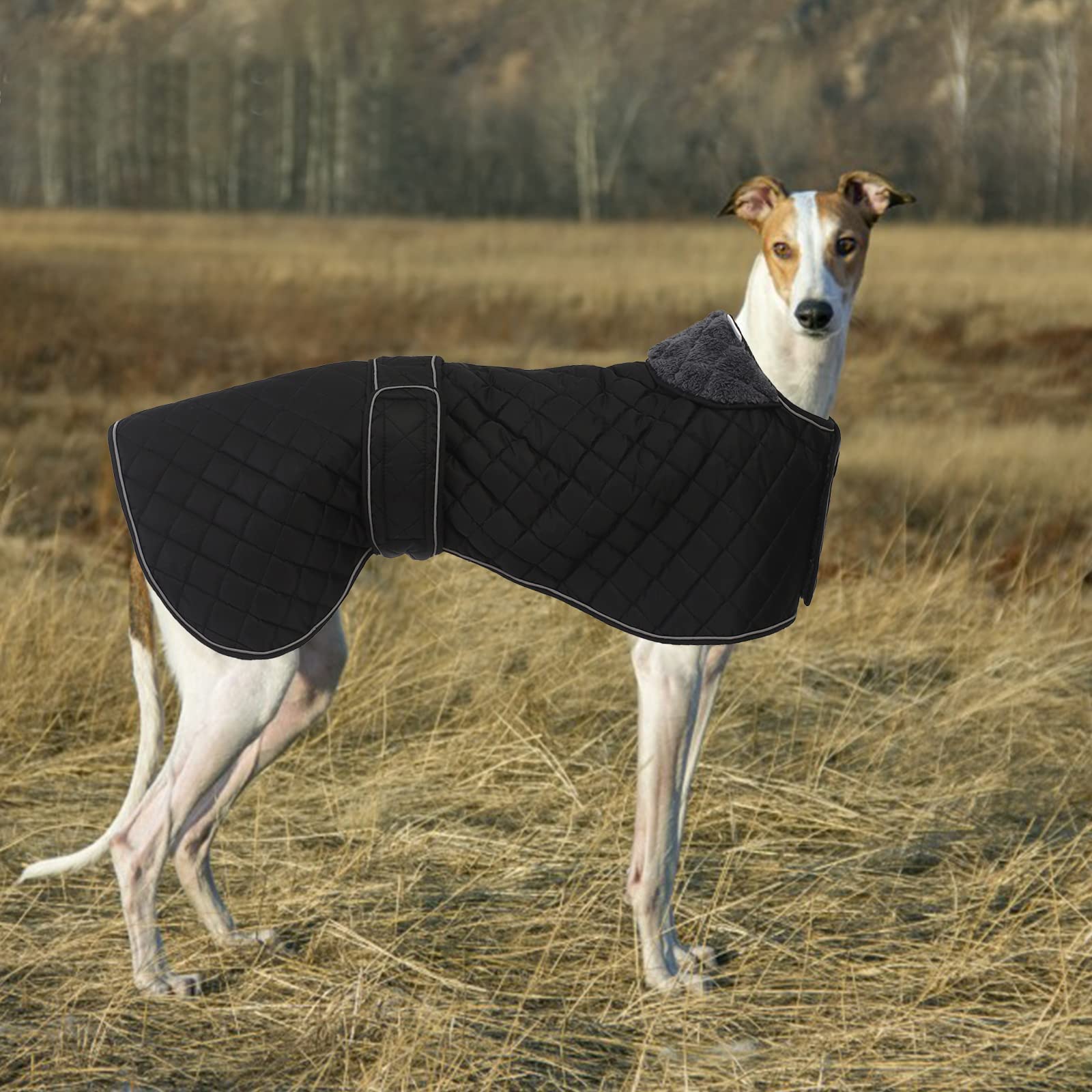 Windhund Whippet Wintermantel - wasserdichte Hundejacke mit Fleecefutter, verstellbar für mittelgroße oder große Hunde, ideal für Windhunde, Whippets, Lurcher, Salukis - Schwarz - XXL