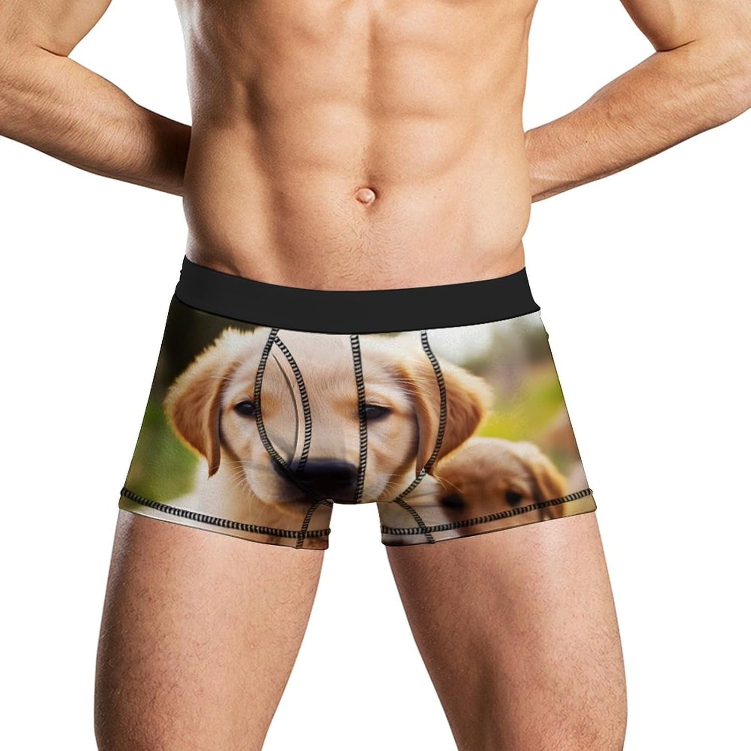 Cute Golden Retriever Puppy Mens Boxer Briefs Short Breathable Underwear Trunks Soft Moisture-Wicking Boxer Shorts Novelty Underpants XL