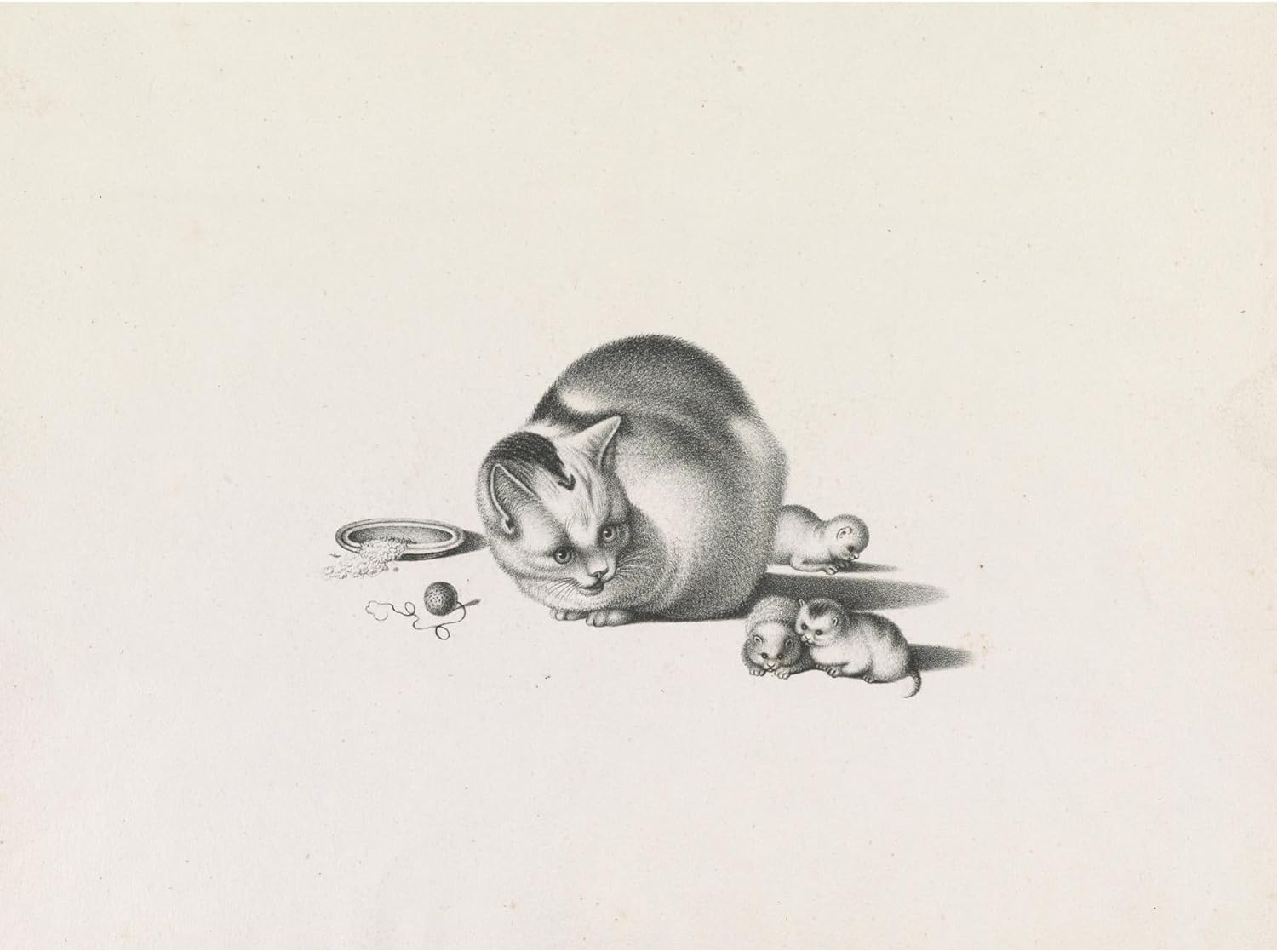 ArtDirect Domestic cat with three newborn kittens and a saucer of food on the left (1820-1860) Unframed Art Print Giclee Poster by Gottfried Mind - Ready for Framing with Customization Sizes 10x7, 14x10, 20x15, 32x24, 48x36 and 60x45 inches